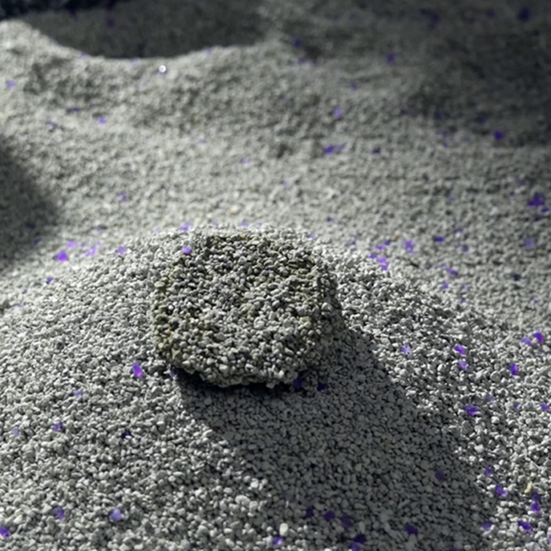 Valg af det bedste mineralske kattegrus: Praktiske tips til et renere hjem